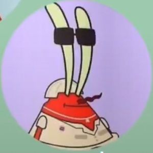 Meet your Posher, Kasie